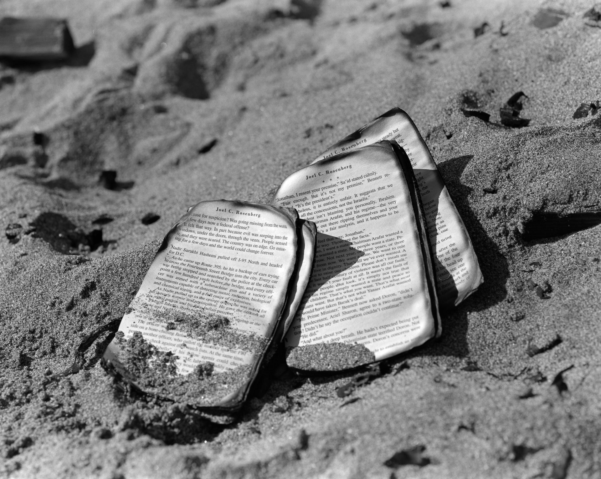 At Ocean Beach, San Francisco
