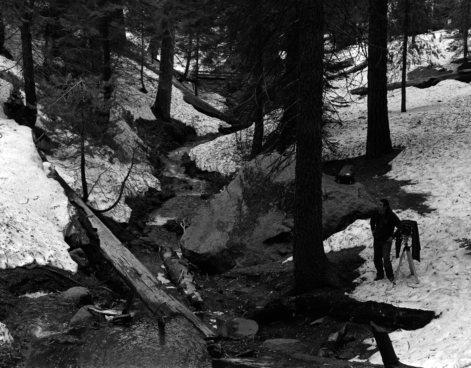 Kings Canyon National Park