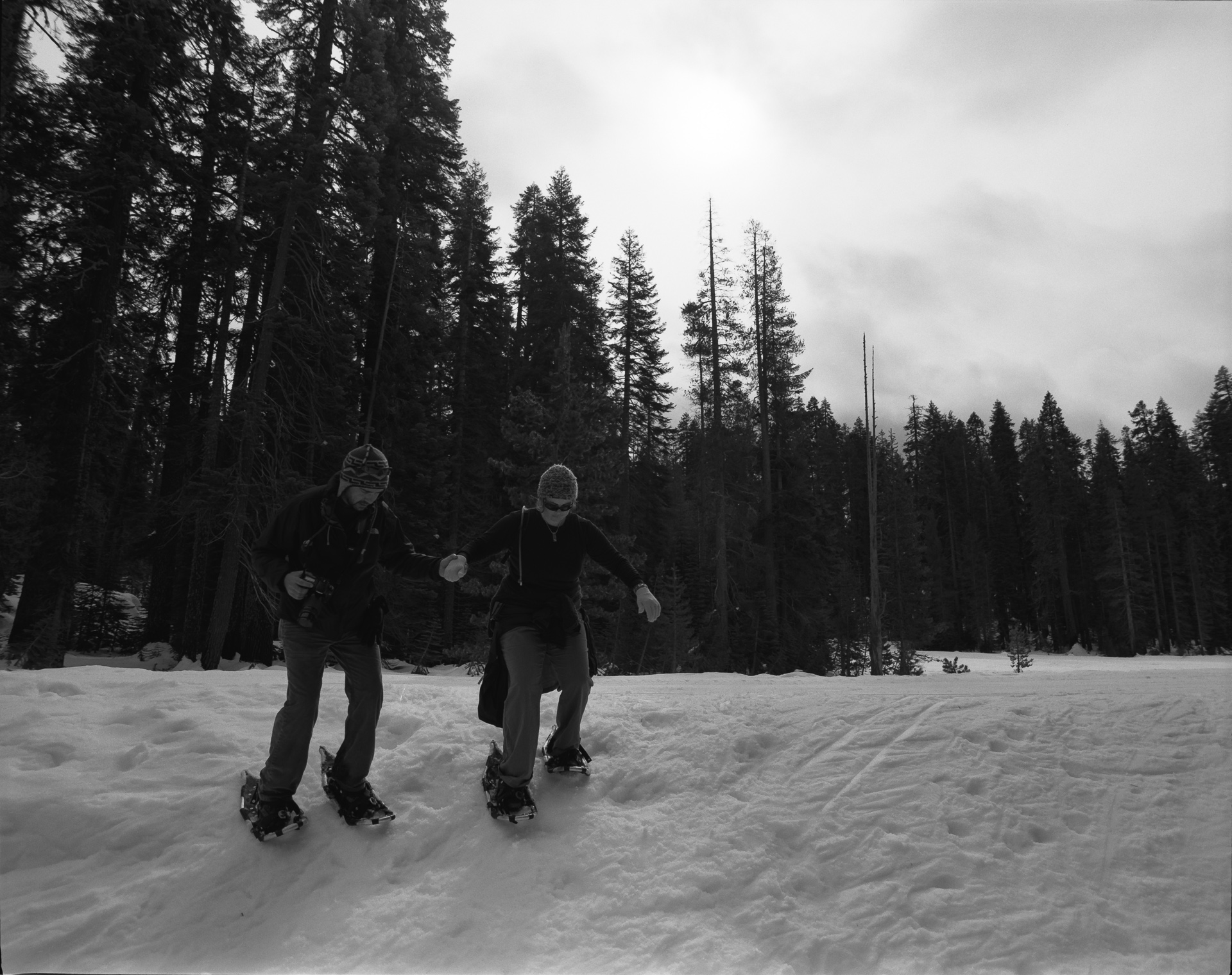 Snow Shoeing Along Badger Pass
