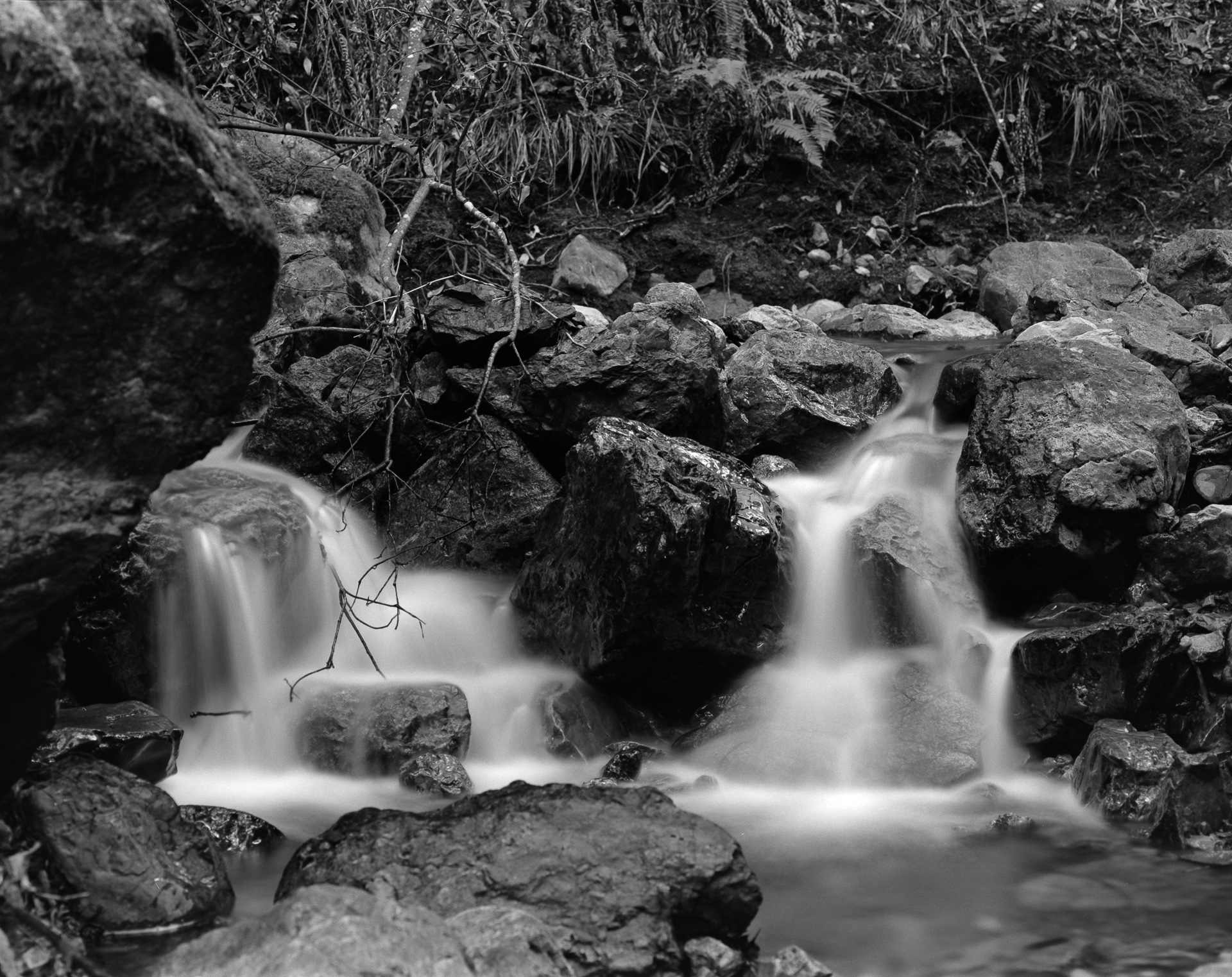 Mountain Stream No. 1