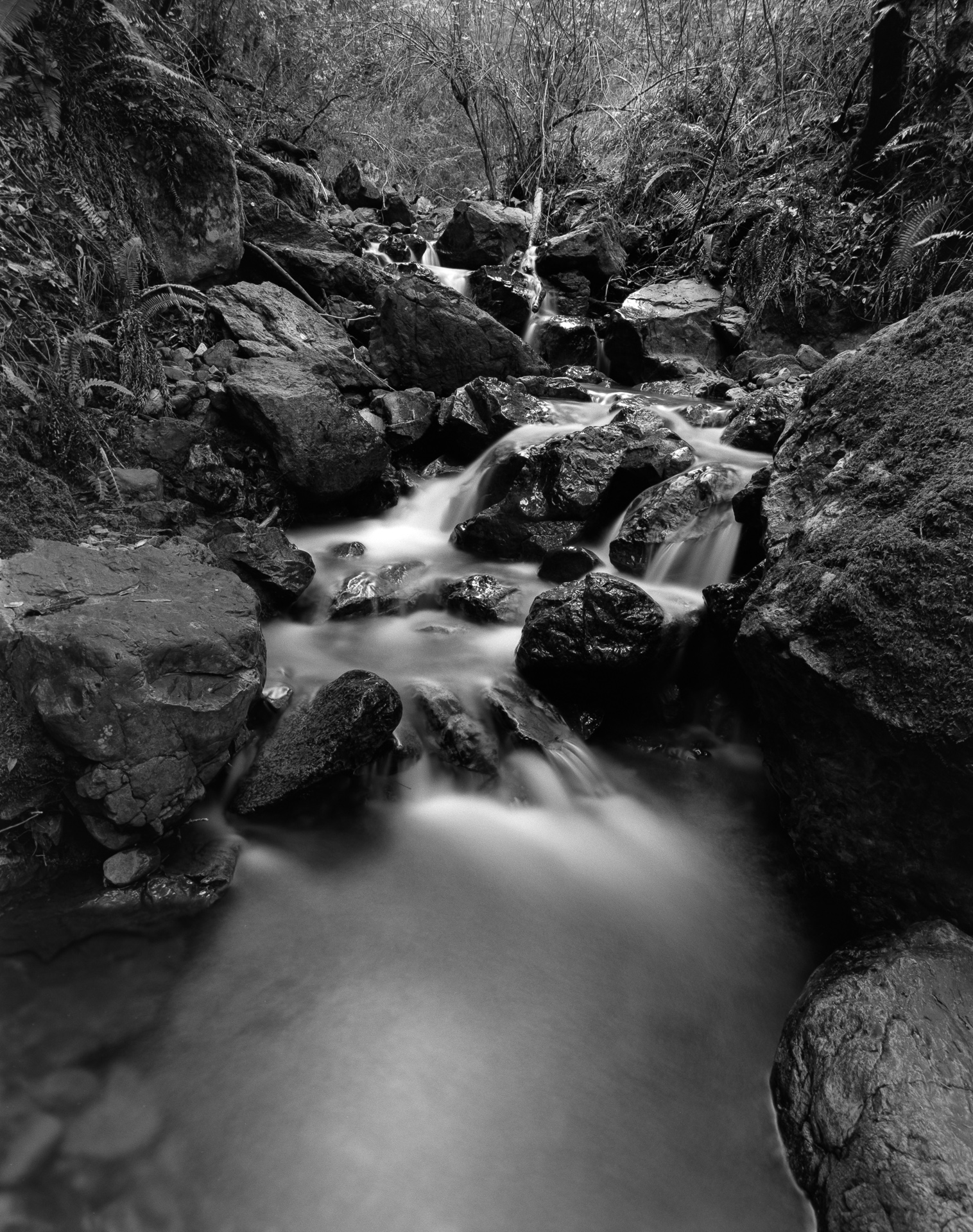 Mountain Stream No. 2