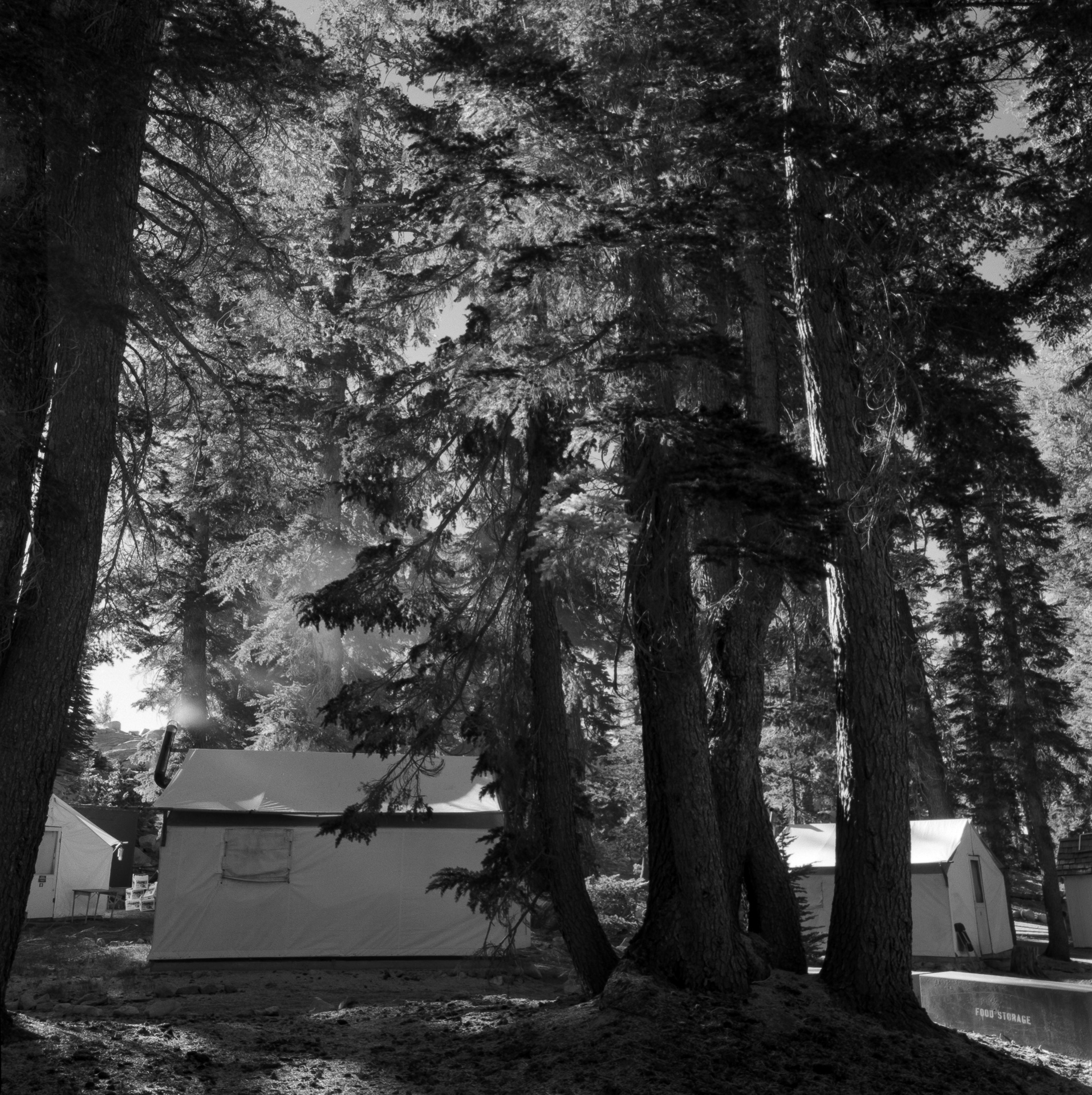 May Lake Tent/Cabins Early Morning