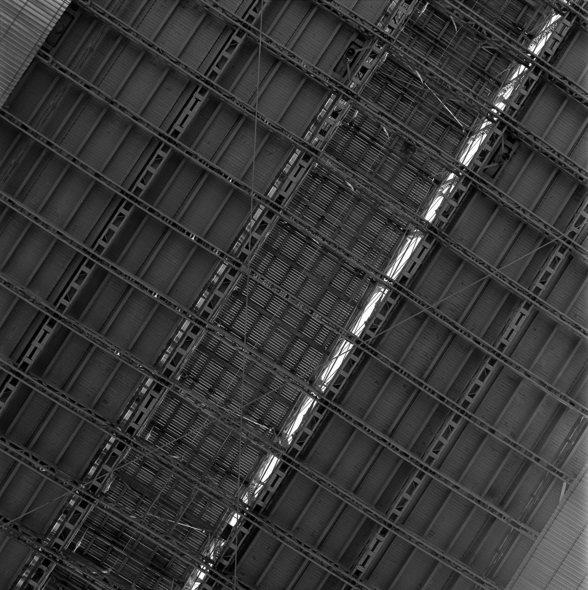 The Belly of the Brooklyn Bridge