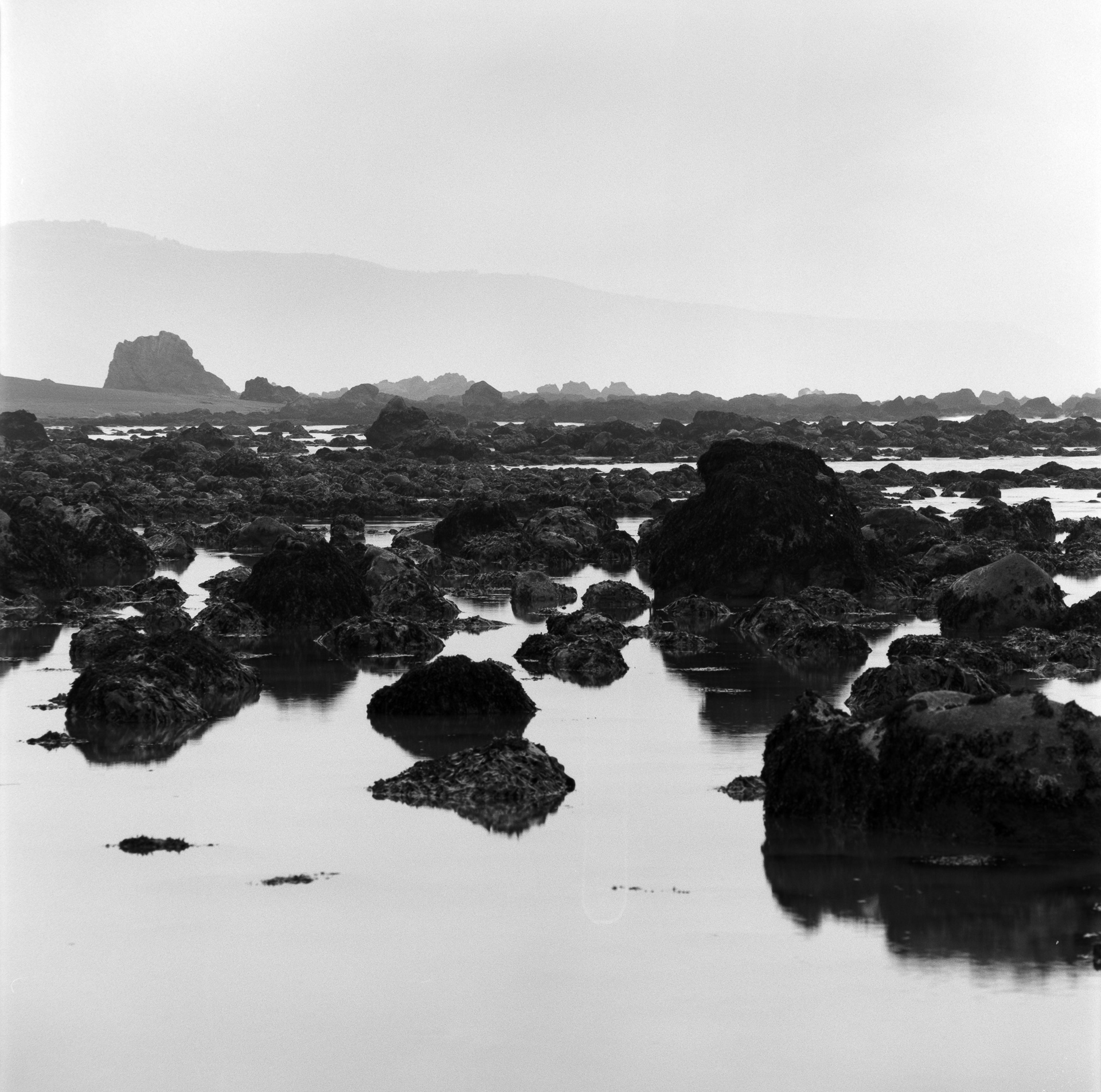 The Lost Coast – California