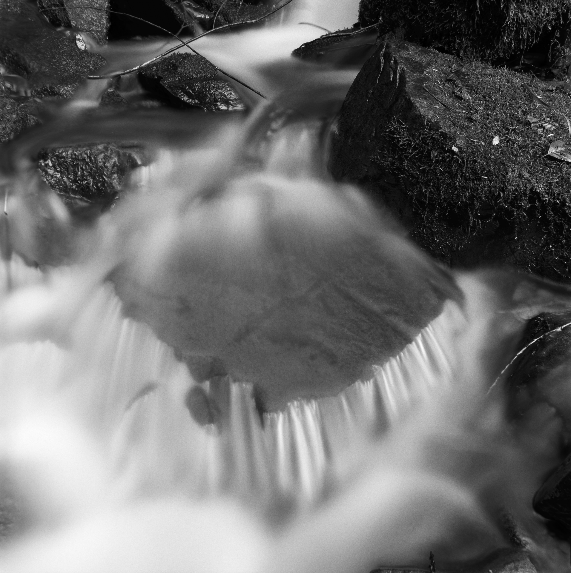 Mountain Spring VI