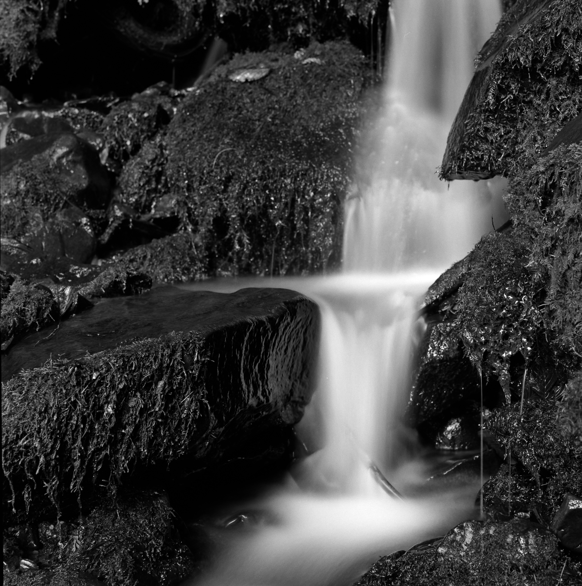 Mountain Spring VIII