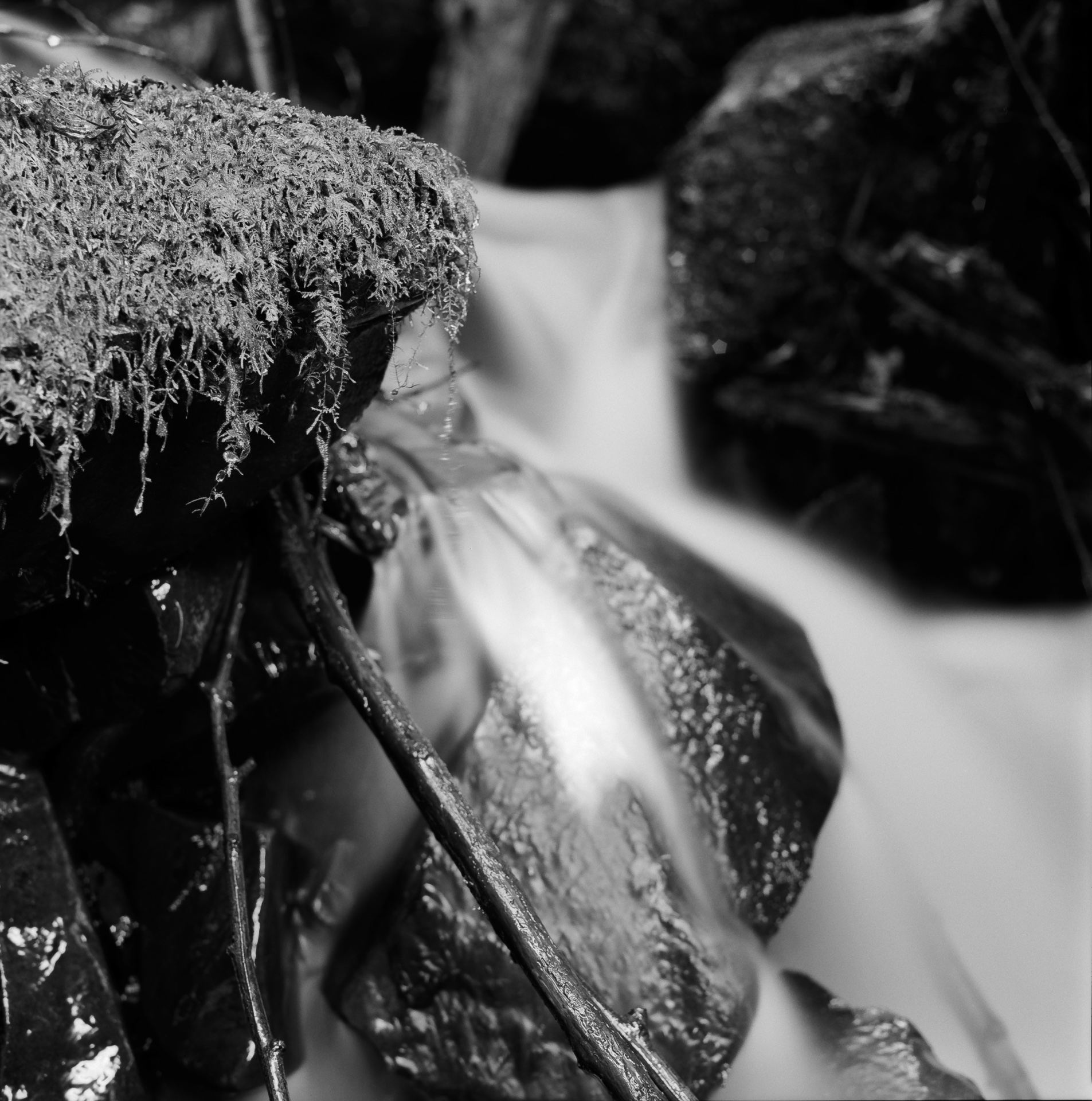 Mountain Spring VII