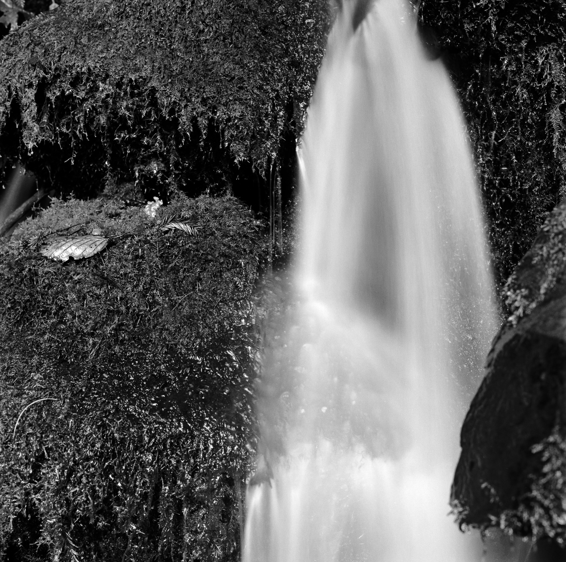 Mountain Sping V – Trinidad CA