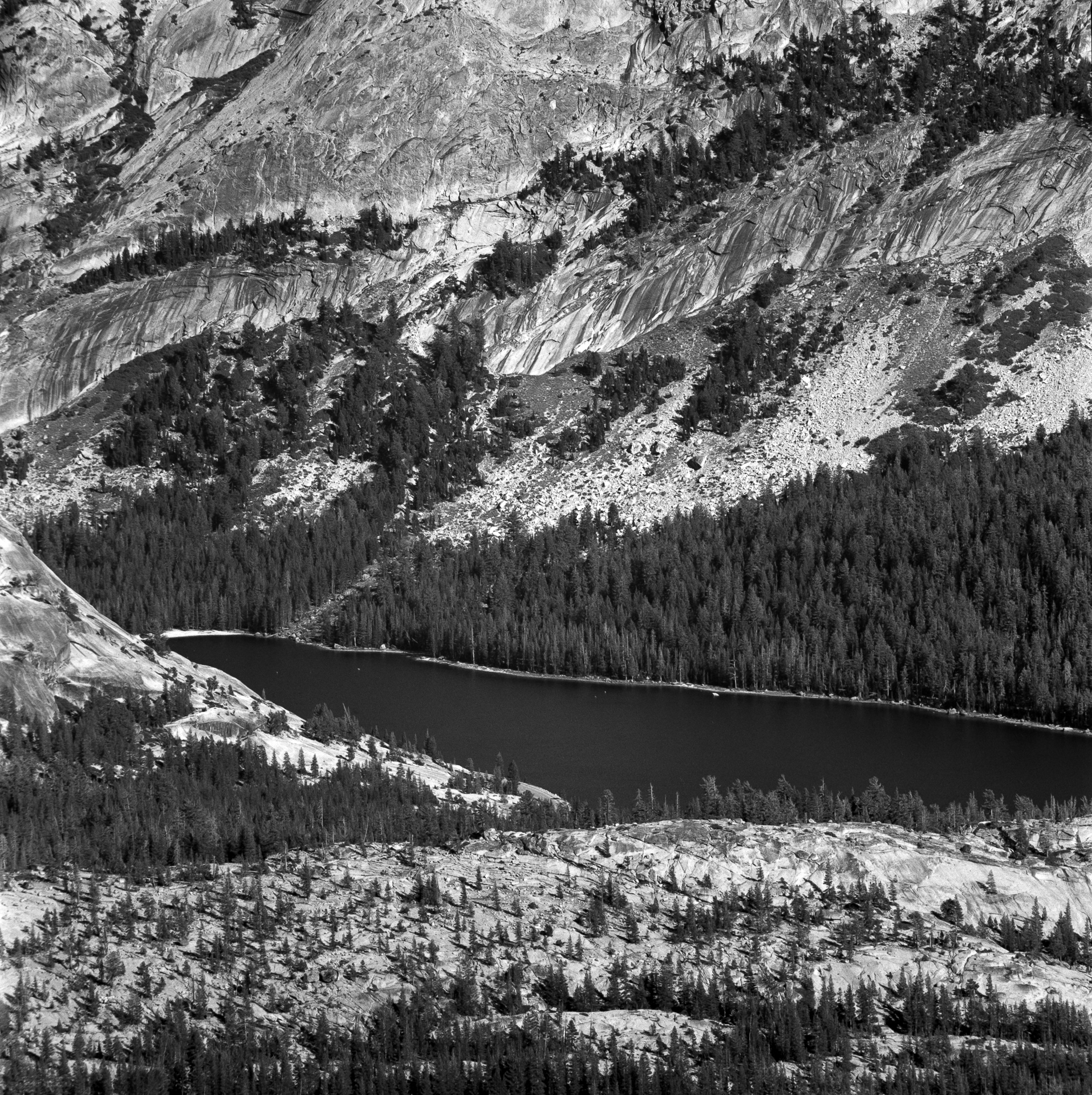 Tenaya Lake From Mt. Hoffman