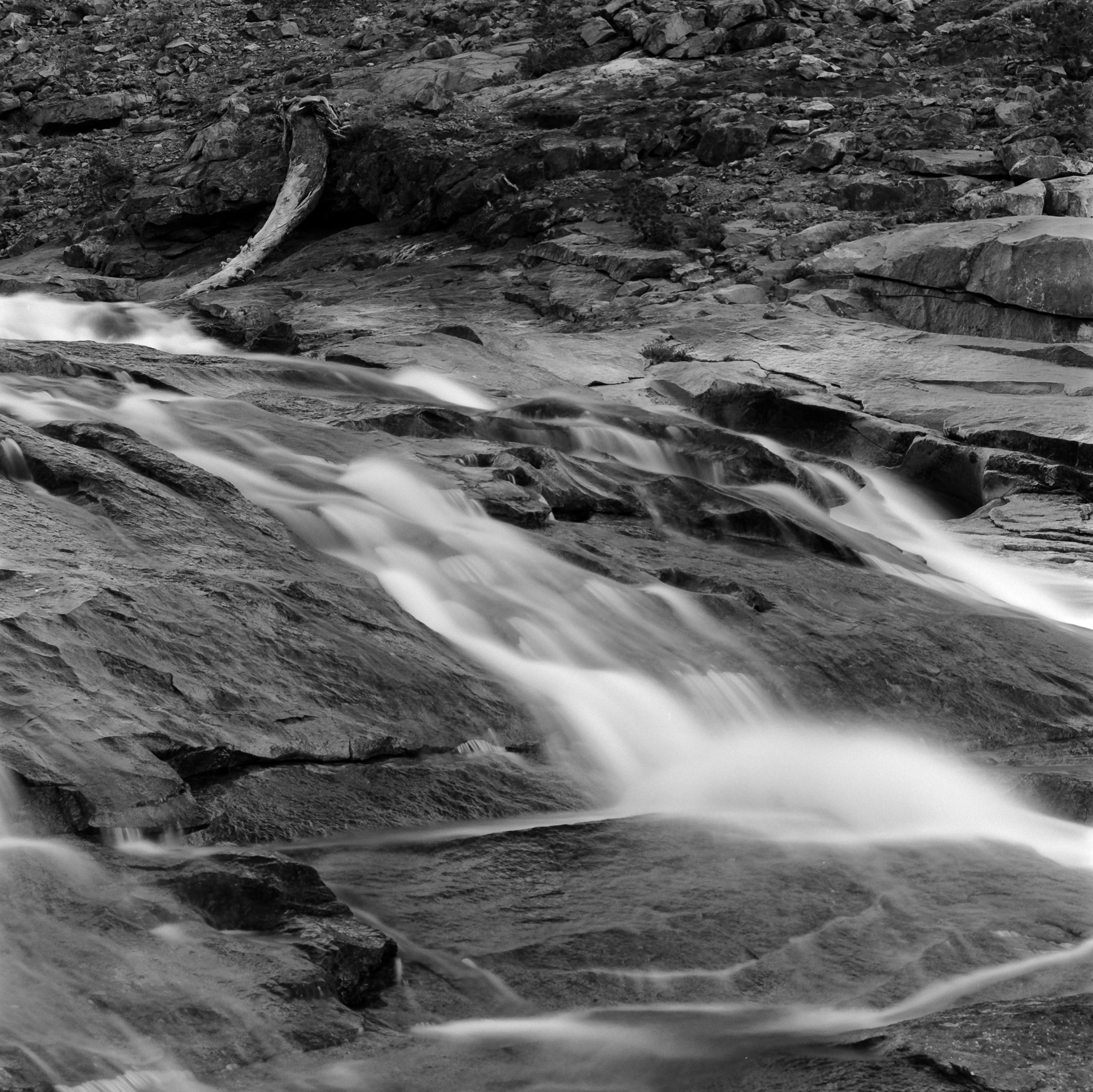 Tuolumne River – (one more!)