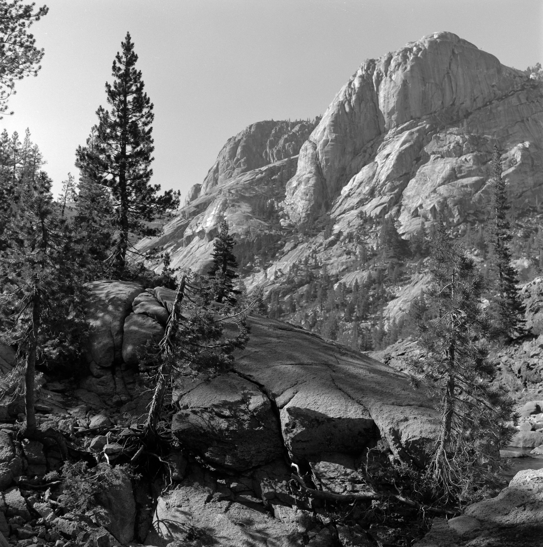 Near California Falls – YNP