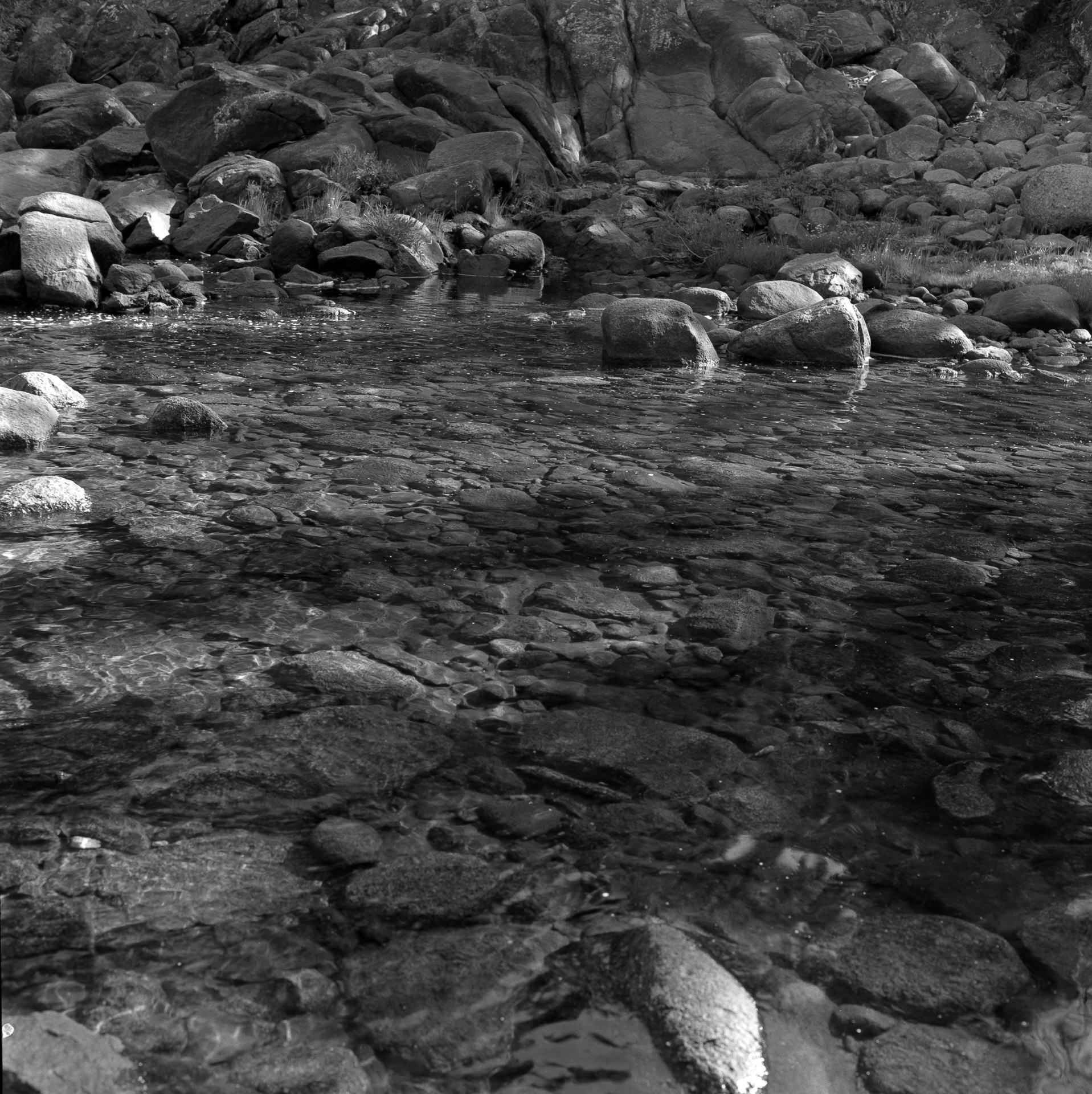 Morning Light on the Tuolumne River
