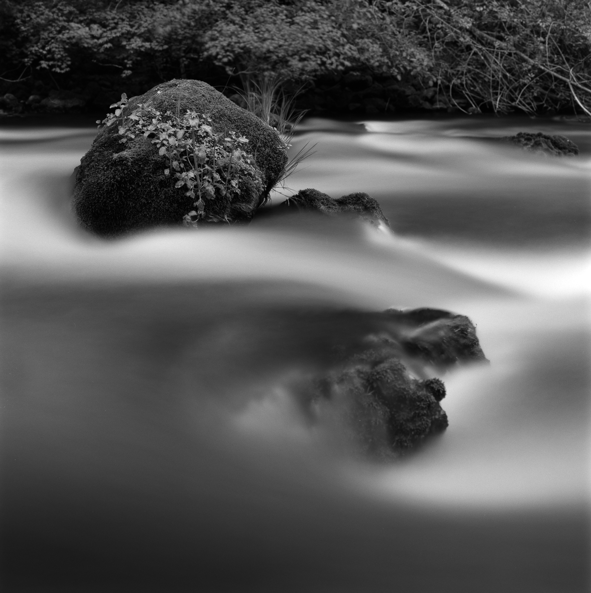 Burney Creek – Burney State Park