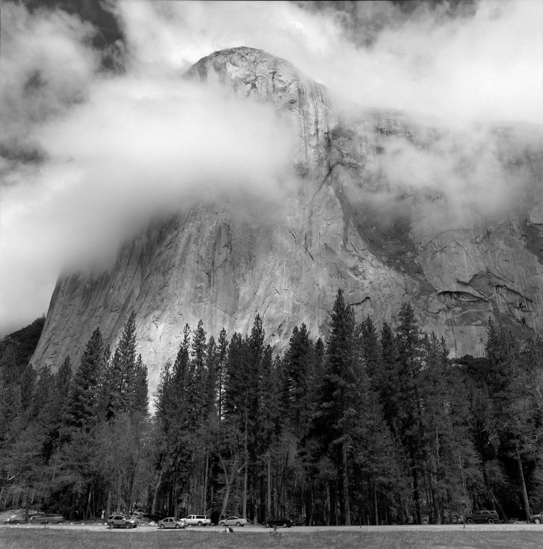 El Cap From The Valley Floor