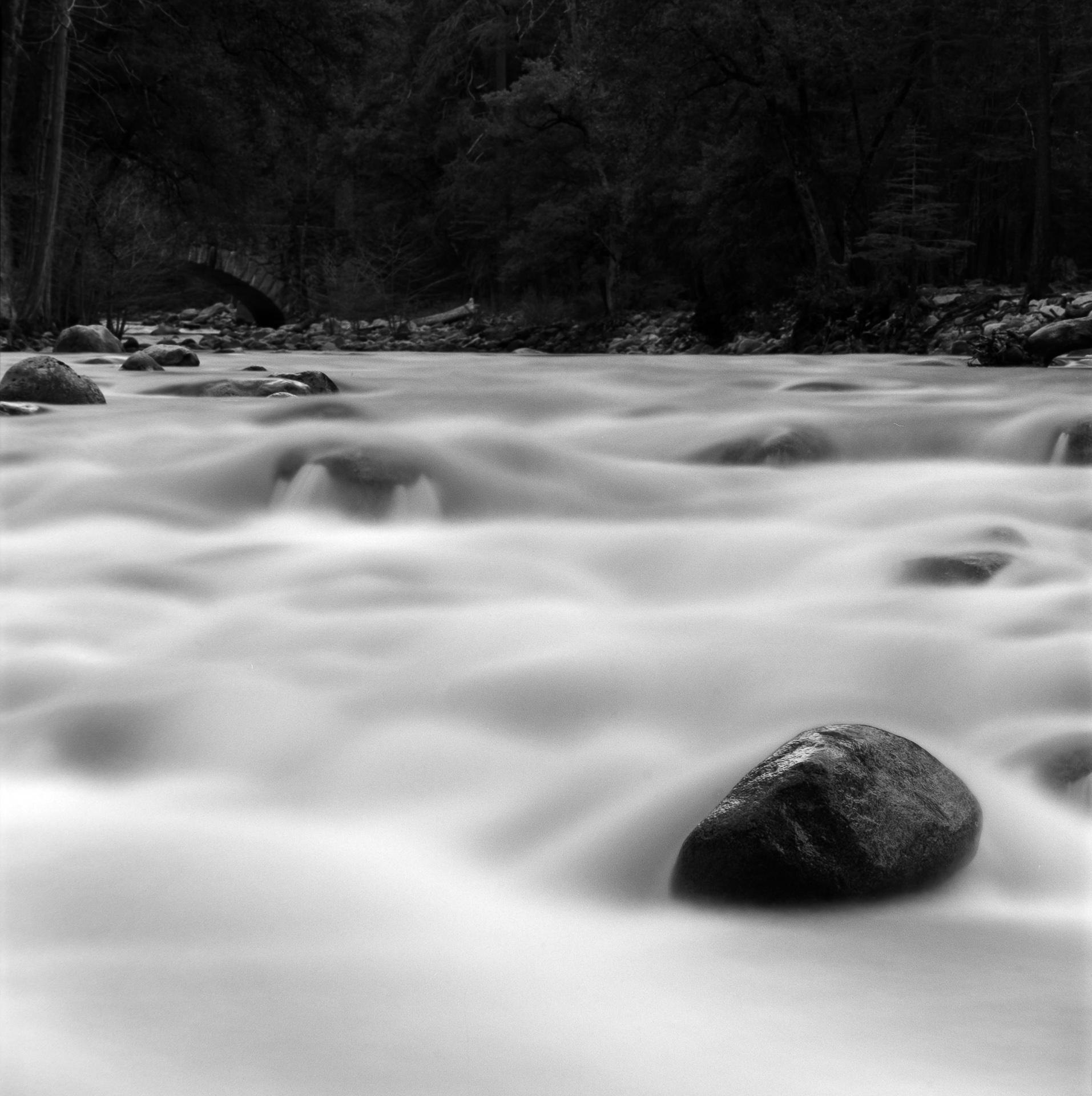 The Merced River – Yosemite Valley