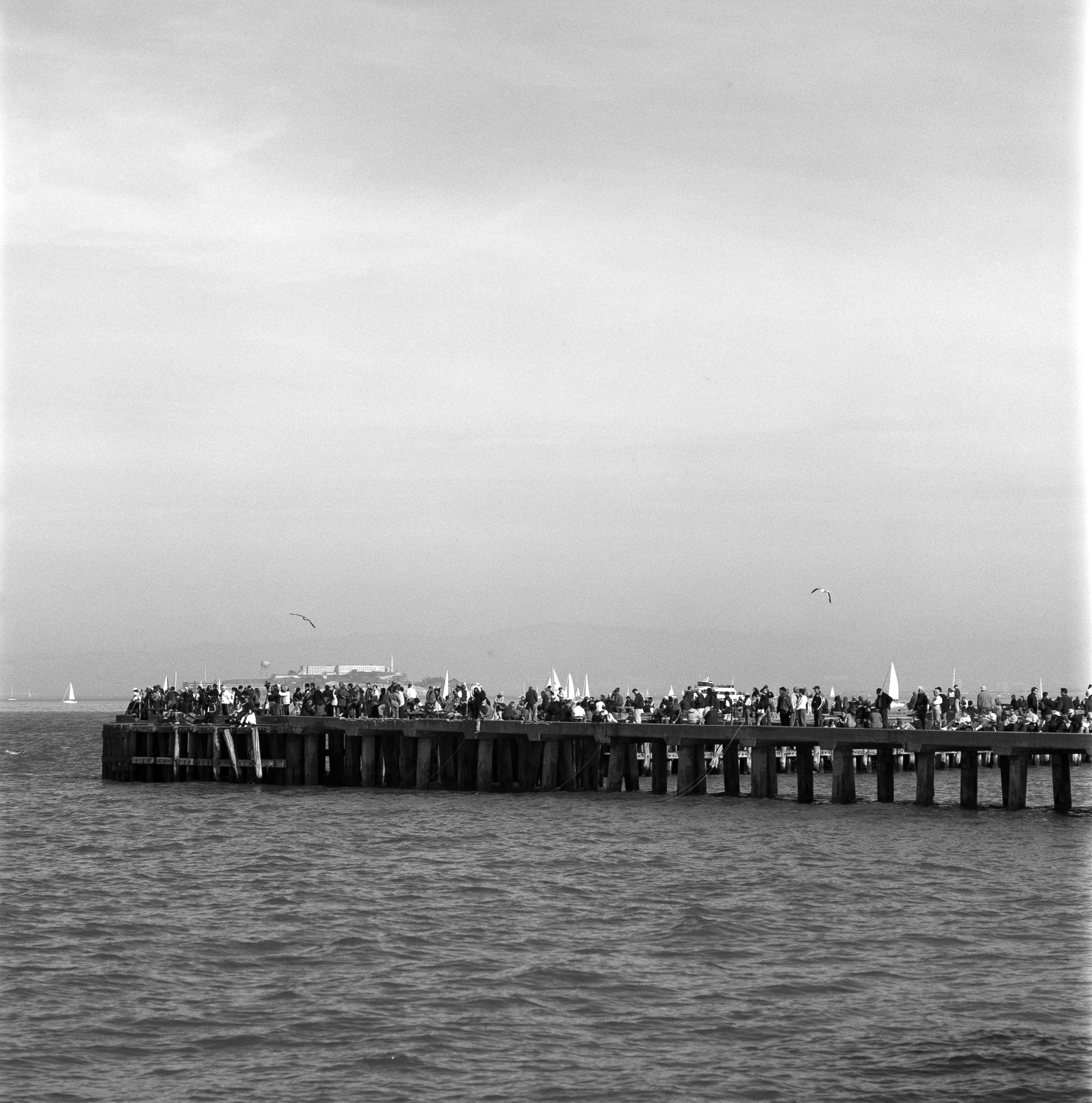 San Francisco Bay – Pier