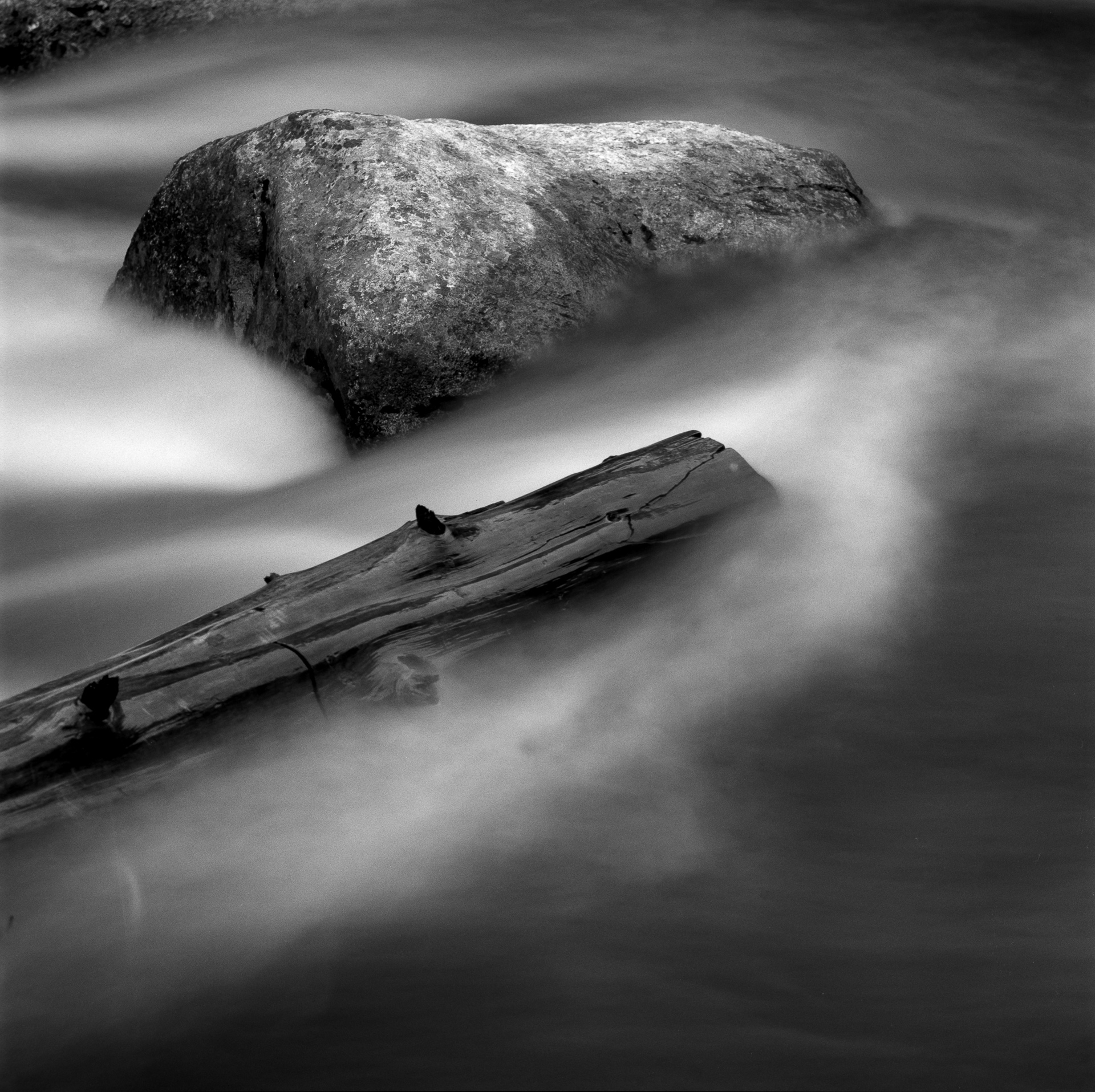 Merced River: Rock and Tree