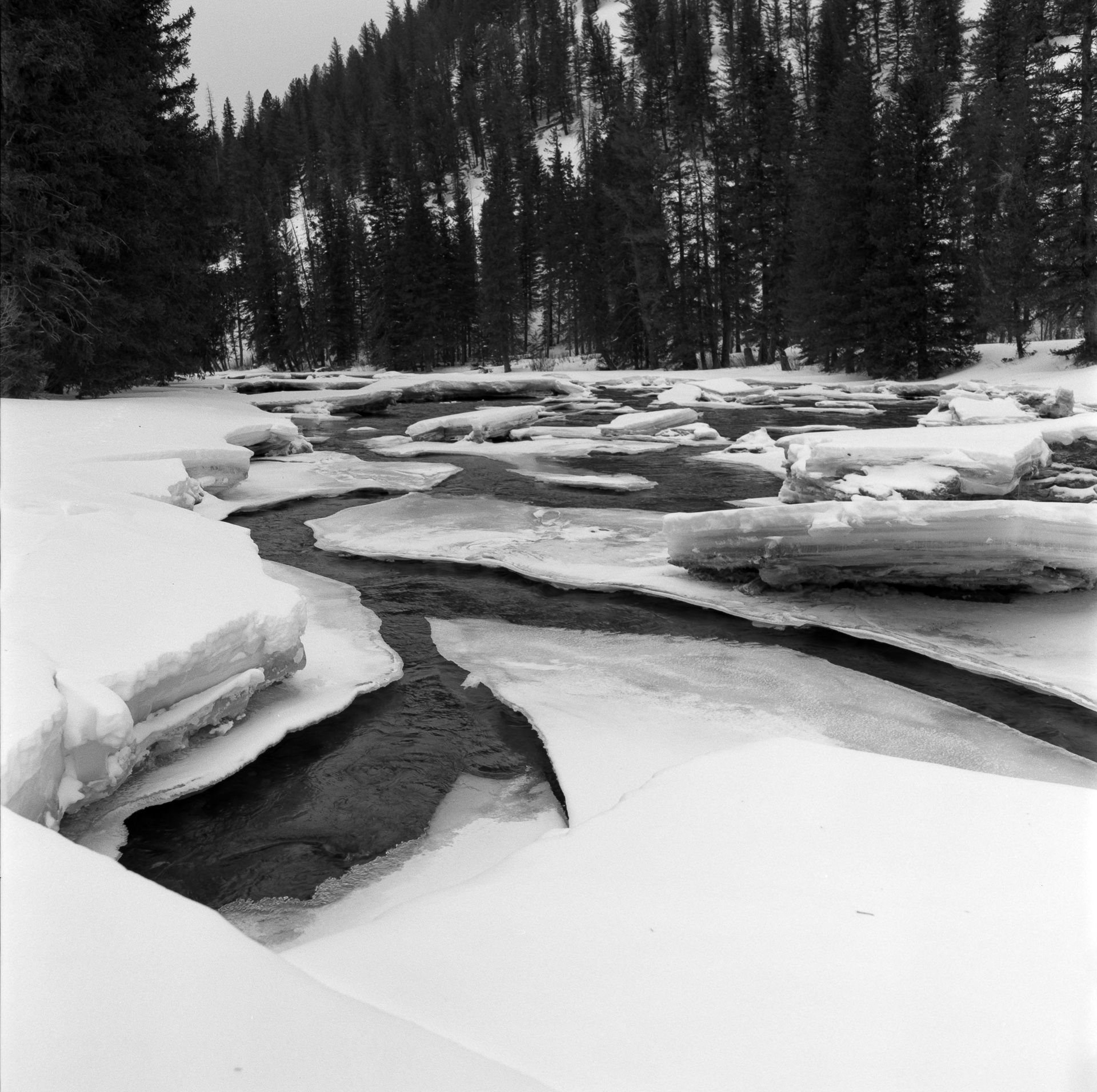 Goose Creek in Montana