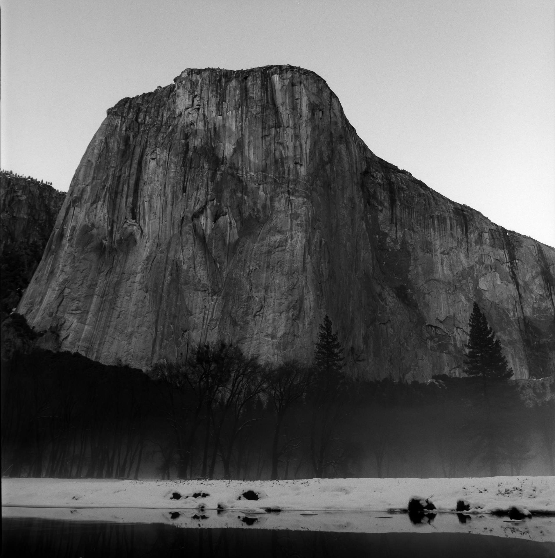 El Capitan in the Icy Fog