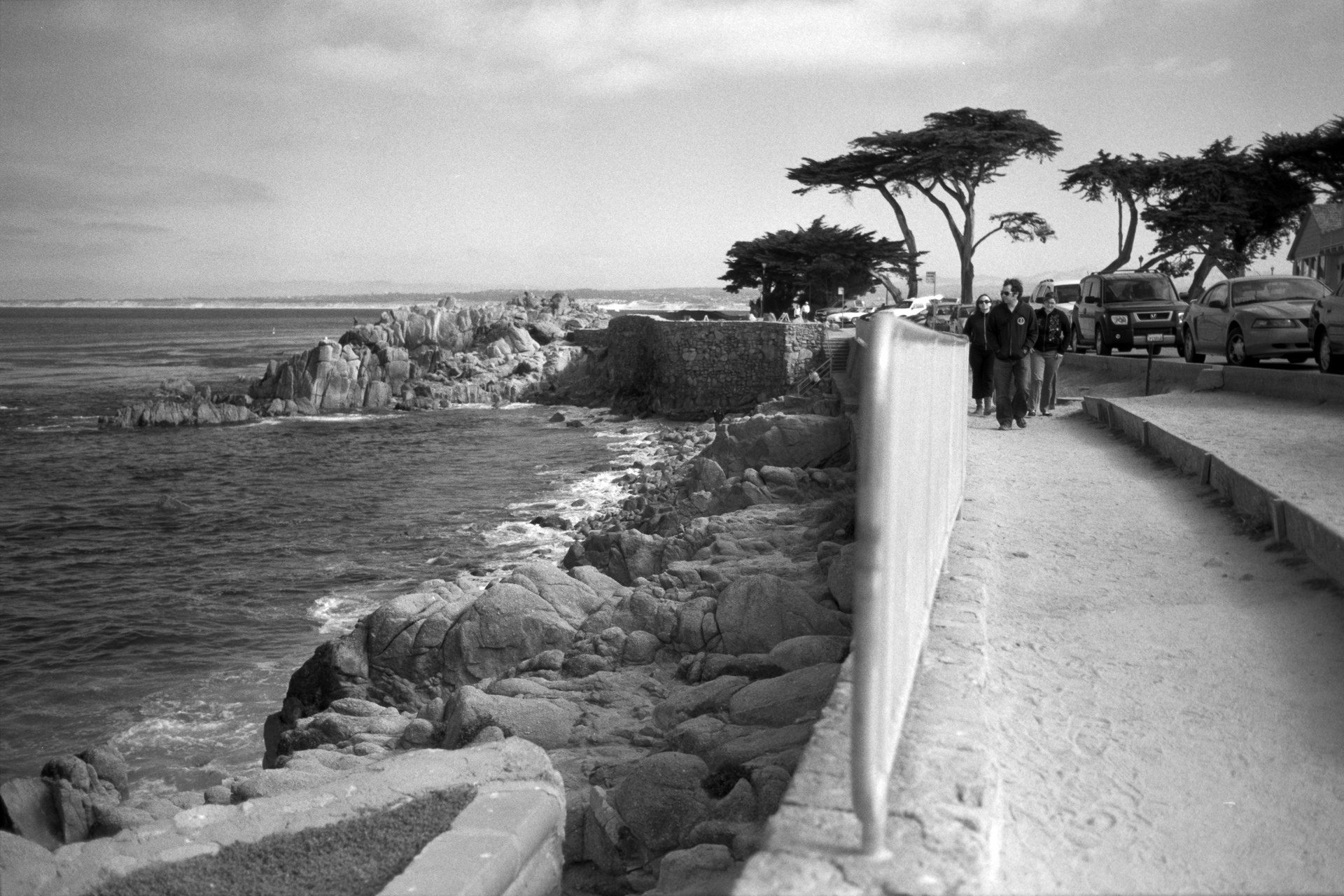 Along the Coast, Monterey, CA