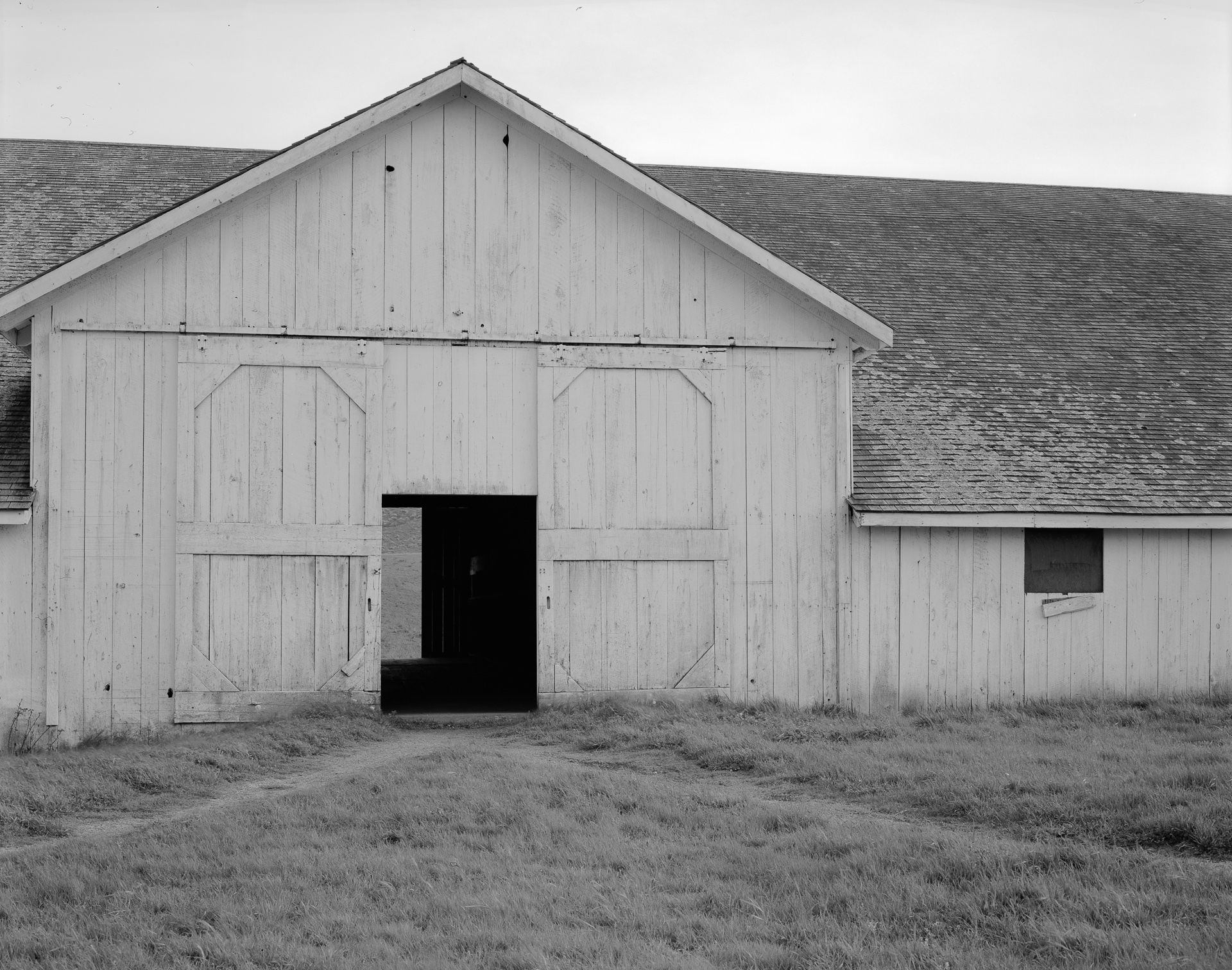 Near the Point Reyes Beach