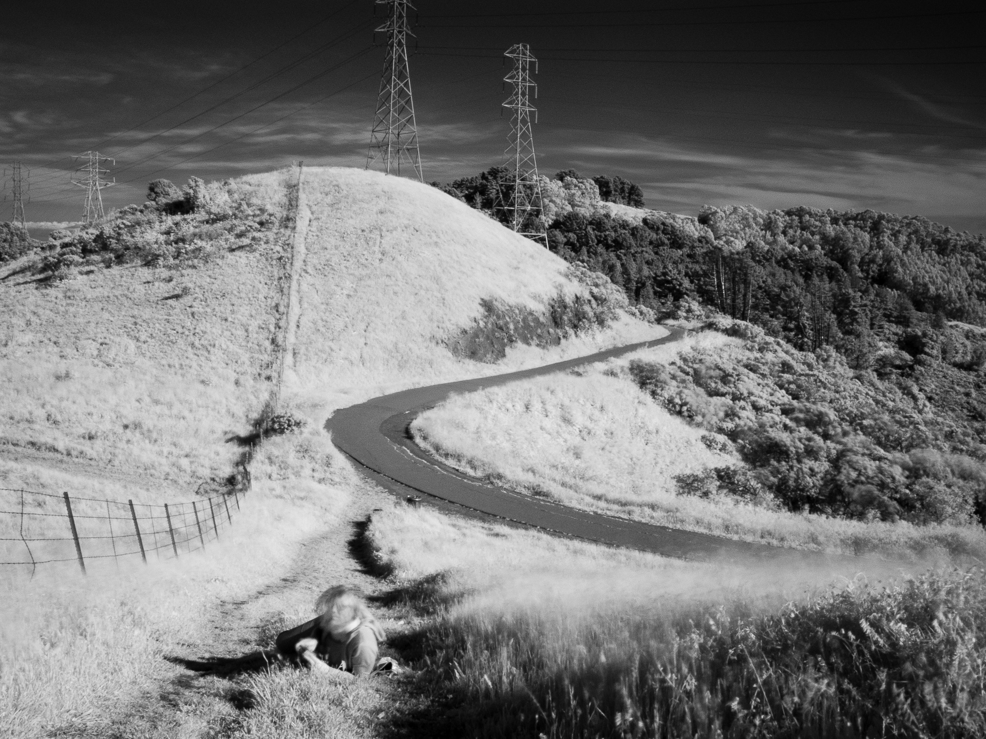 Above Berkeley CA: Tilden State Park 2