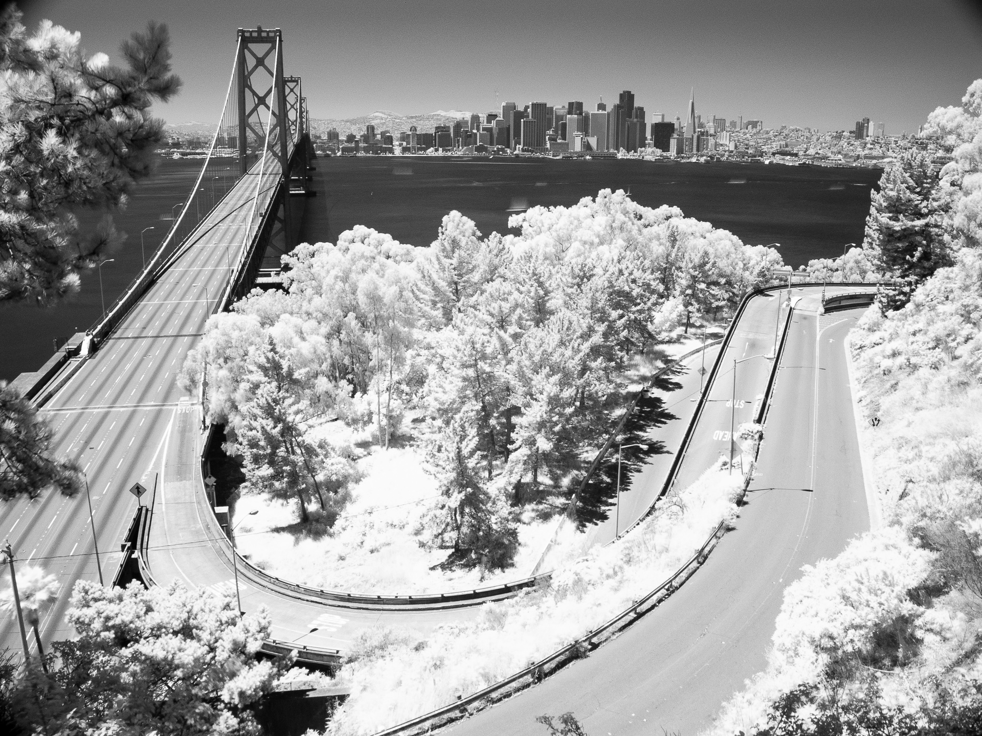 Yerba Buena Island Looking Towards San Francisco