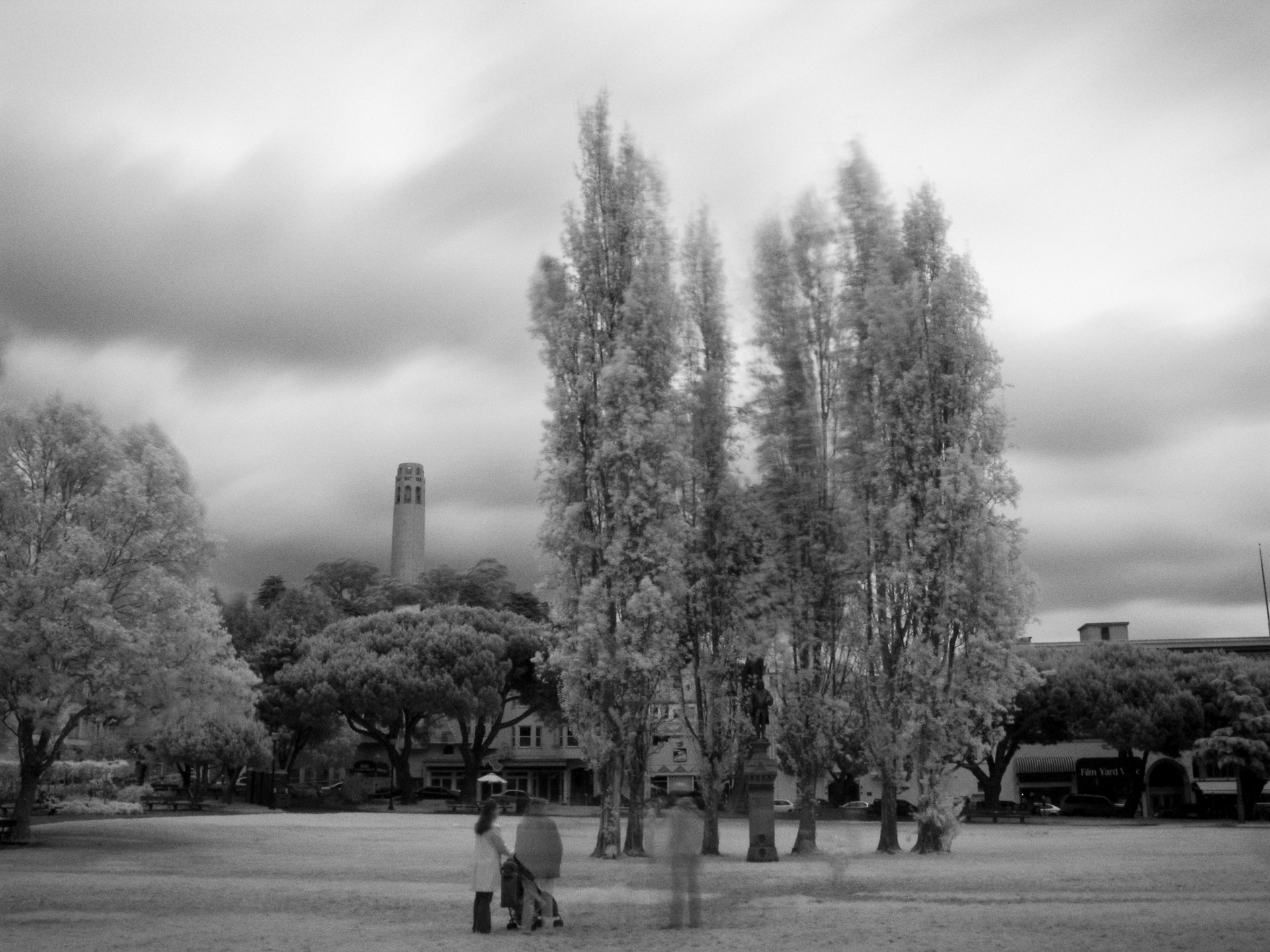 Washington Square Park, San Francisco
