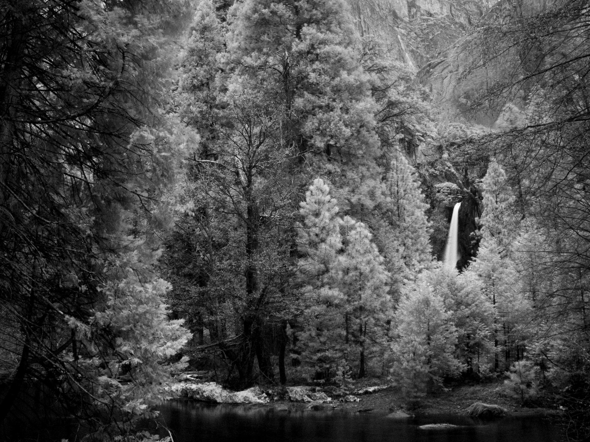 YNP: Lower Yosemite Falls