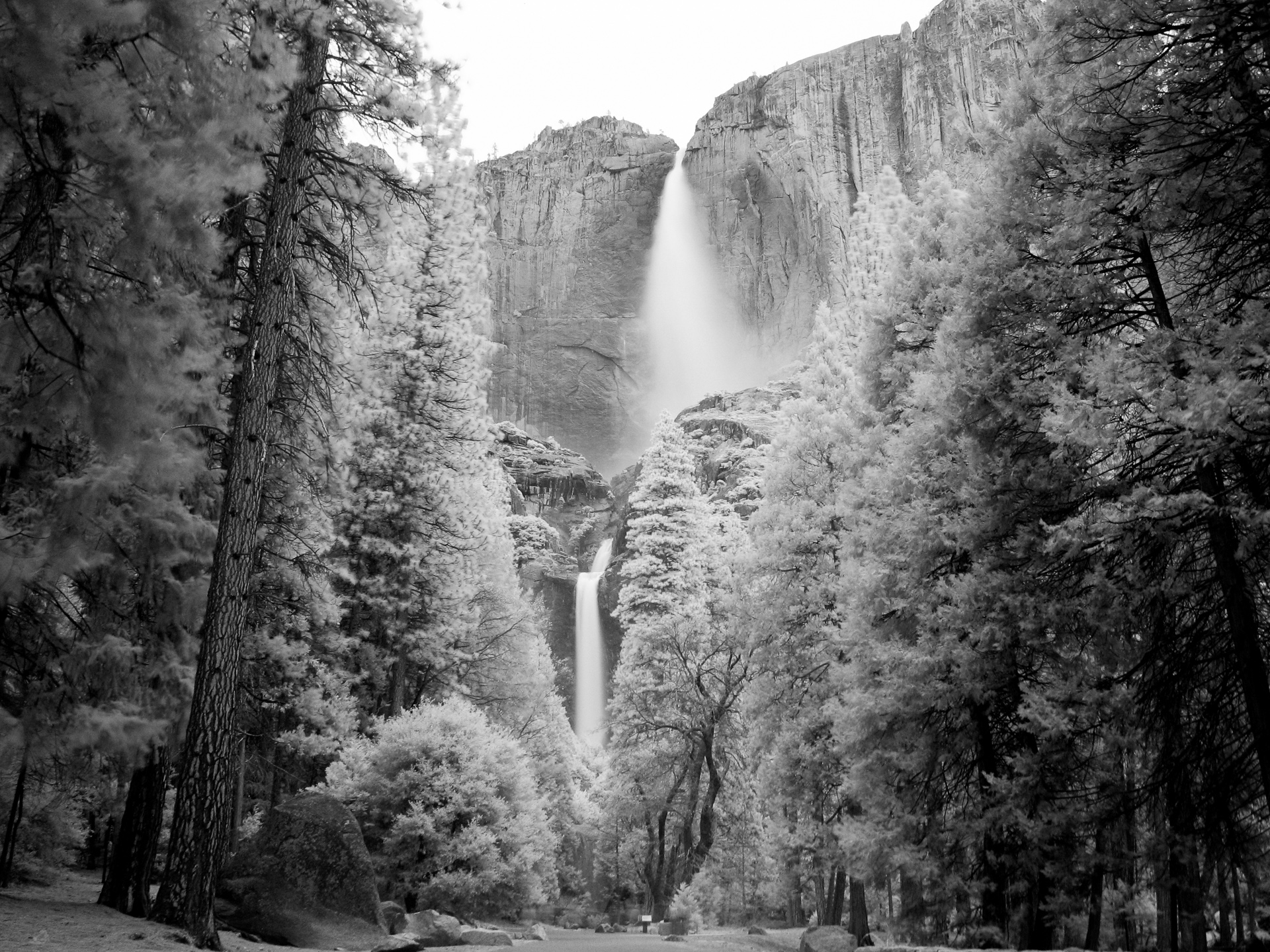 YNP: Yosemite Falls