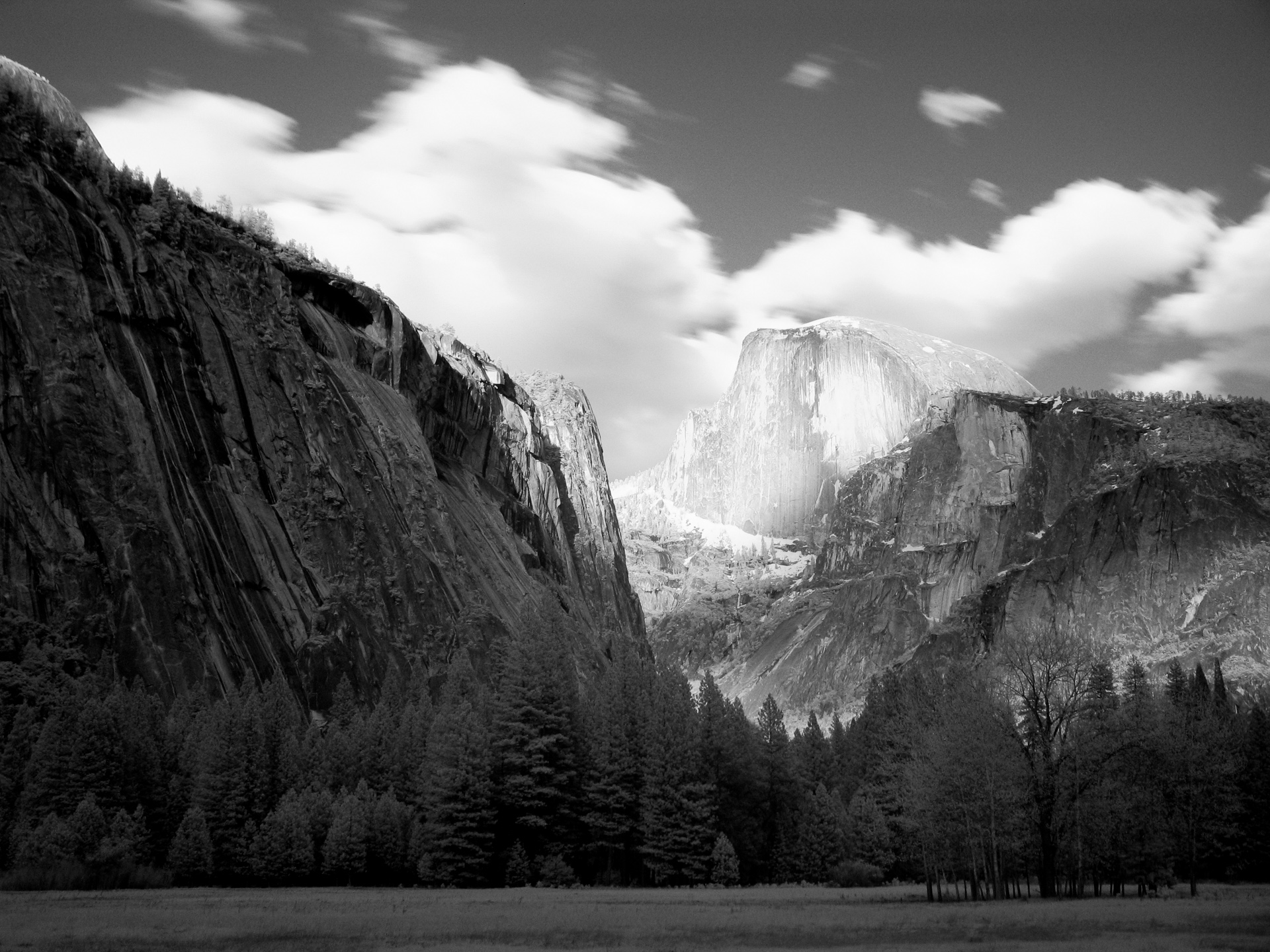YNP: Half Dome from the Valley