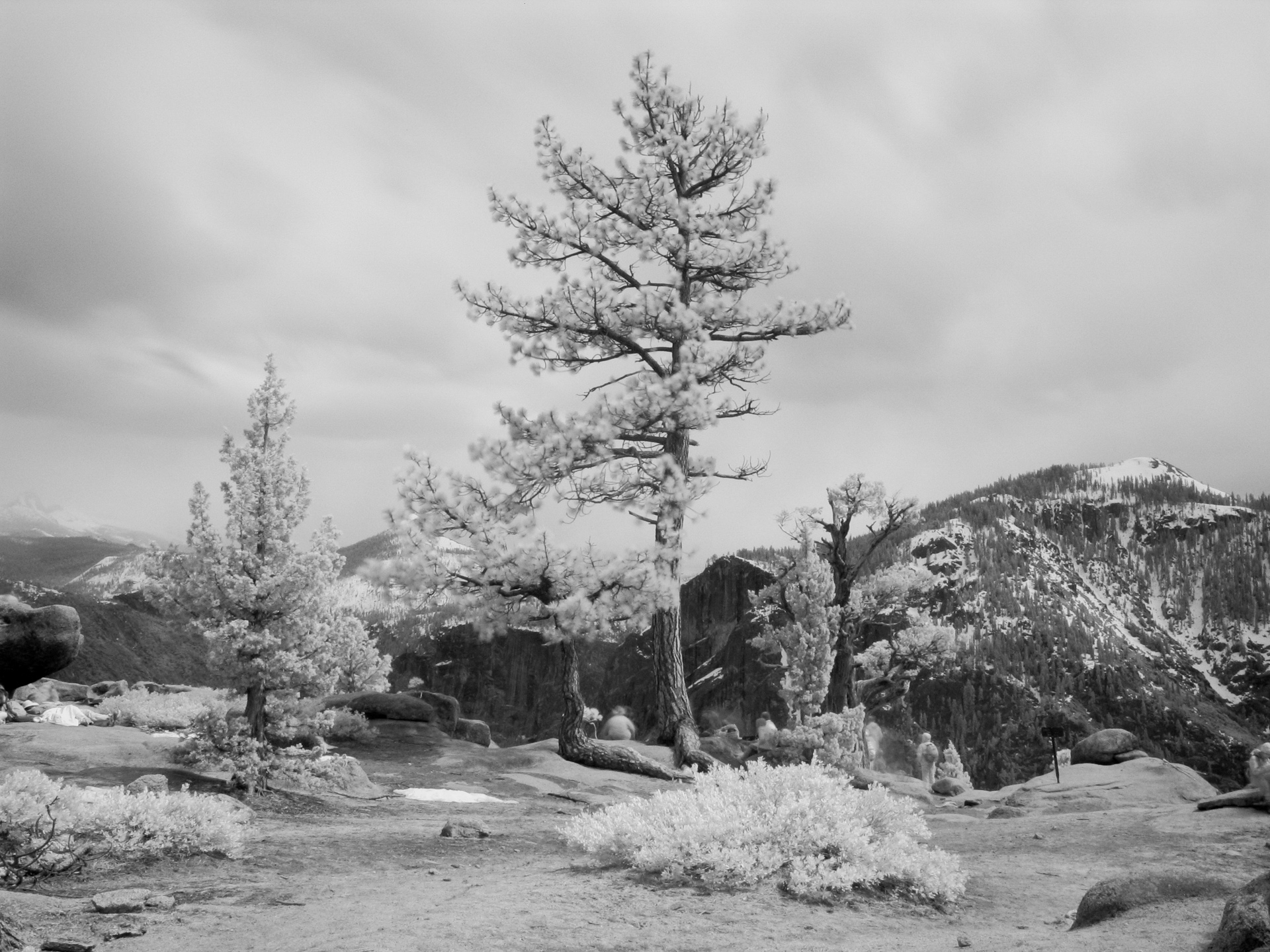 YNP: On top of Yosemite Falls